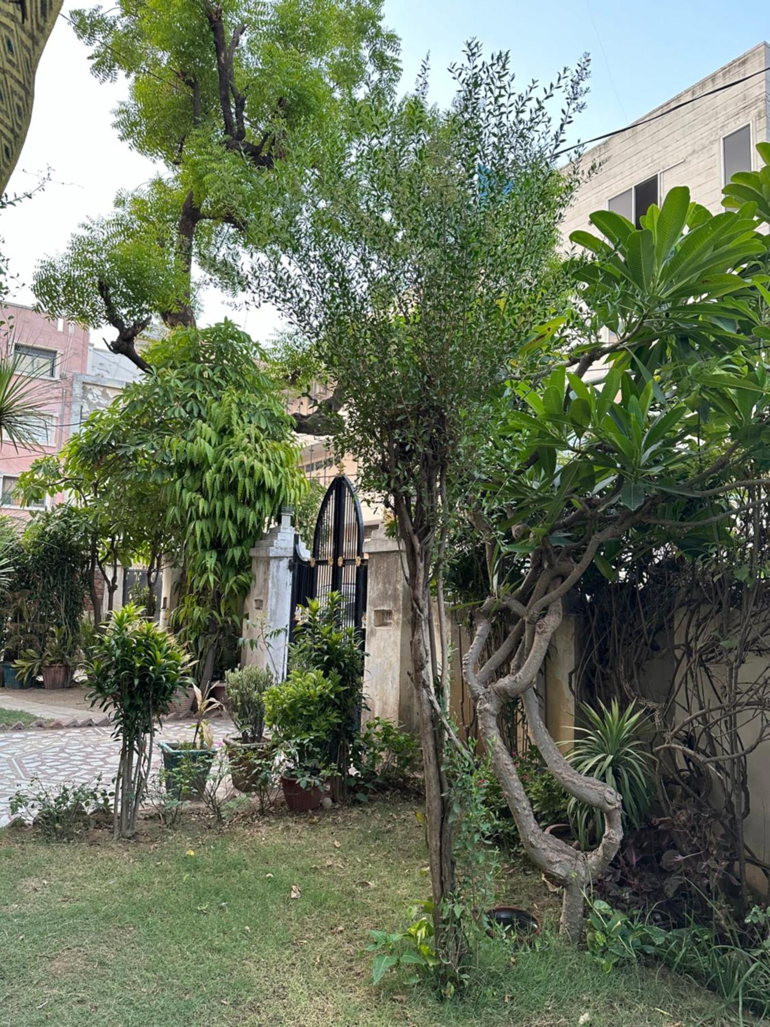 Jwala Niketan Jaipur Otel Dış mekan fotoğraf